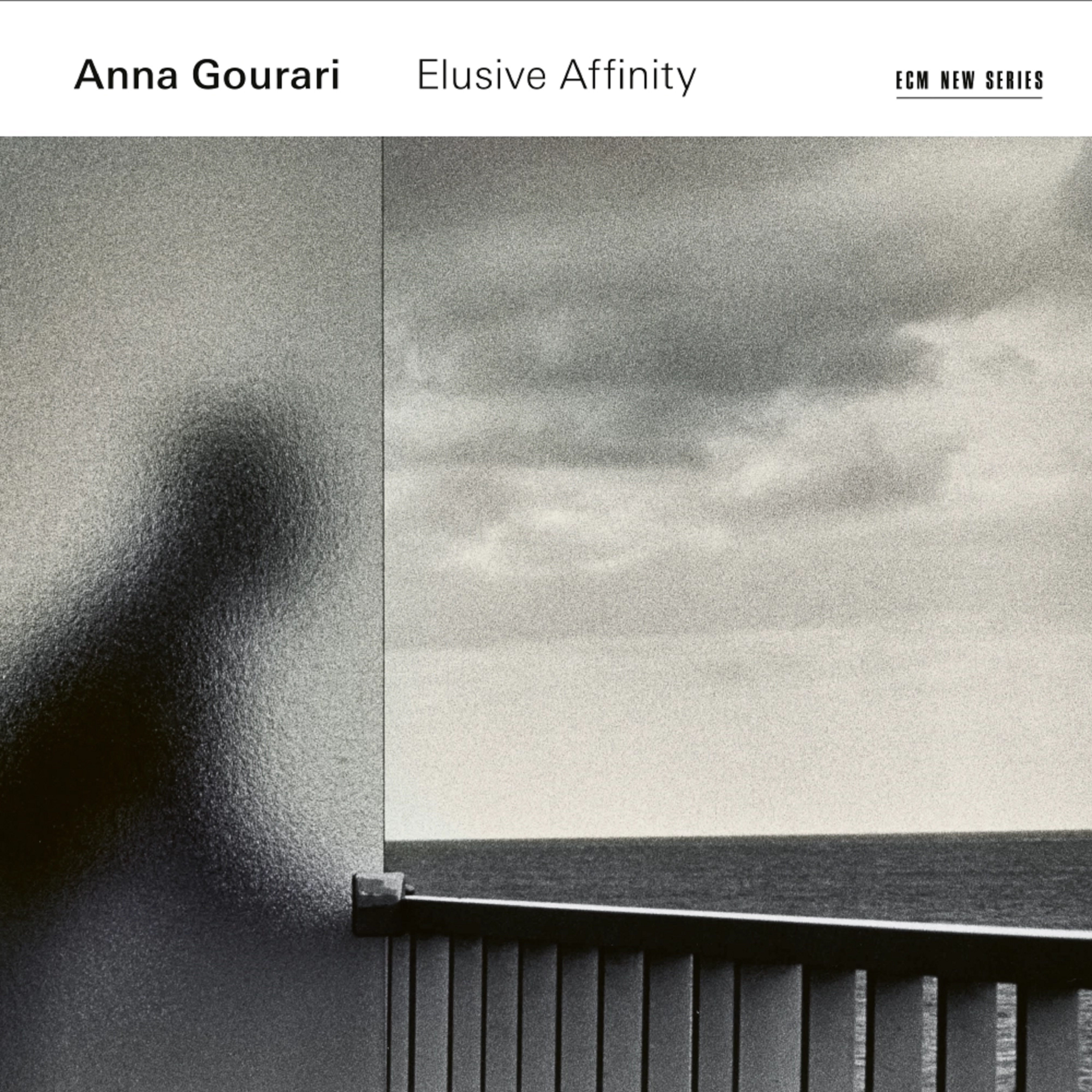 Elusive Affinity | Anna Gourari