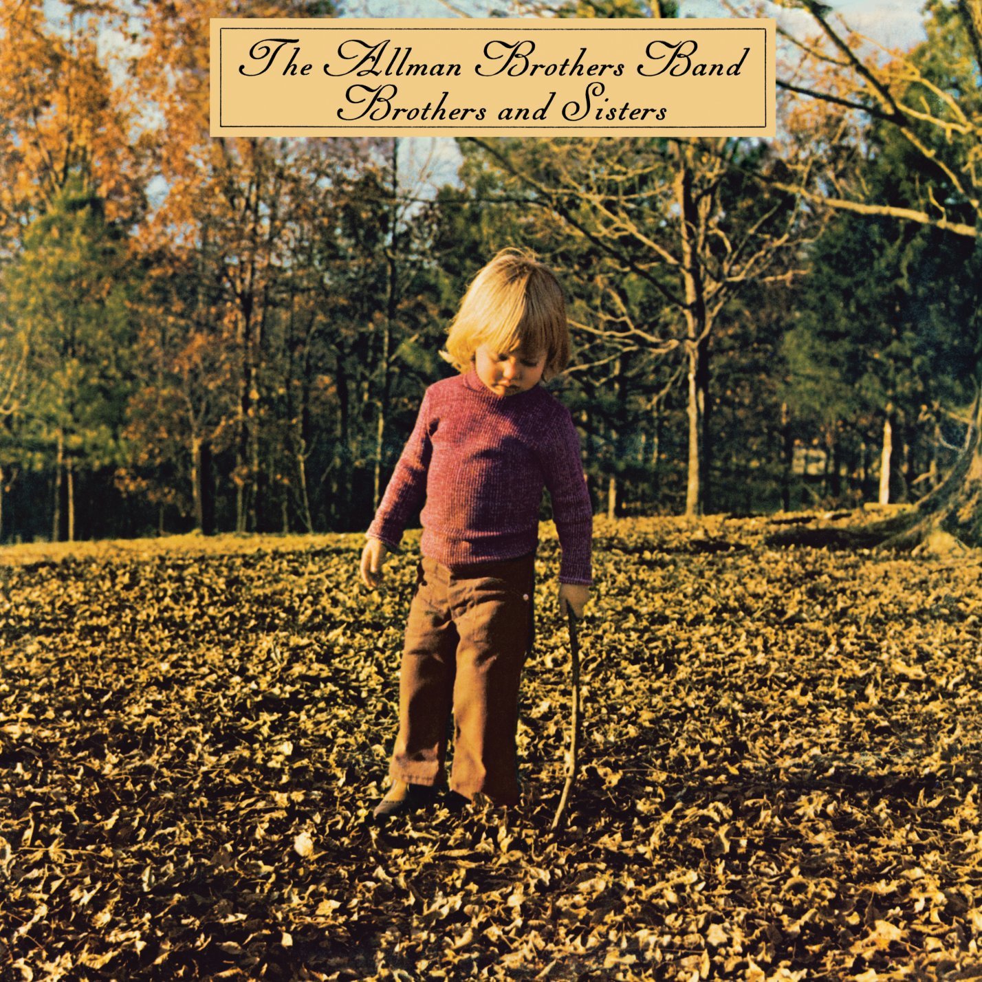 Brothers And Sisters – Vinyl | Allman Brothers Band Allman poza noua