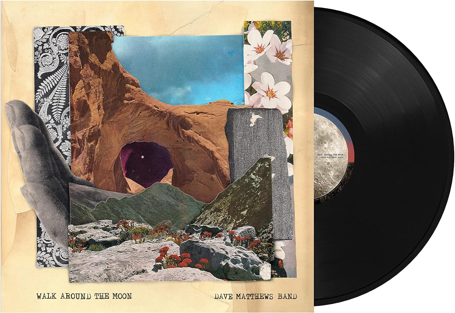 Walk Around The Moon - Vinyl | Dave Matthews Band