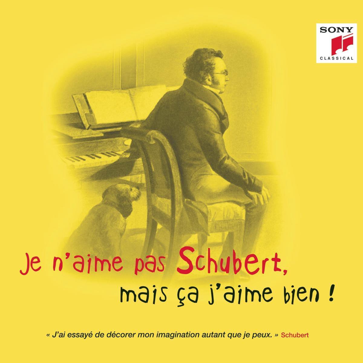 Je n\'aime pas Schubert, mais ca j\'aime bien! | Franz Schubert