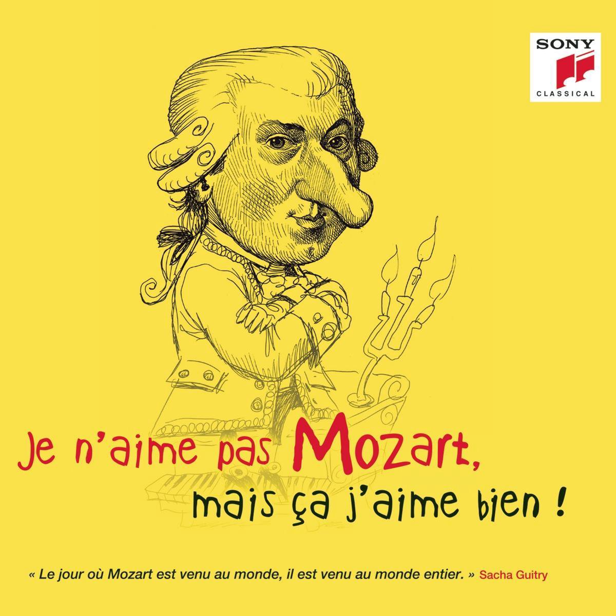 Je n'aime pas Mozart, mais ca j'aime bien!