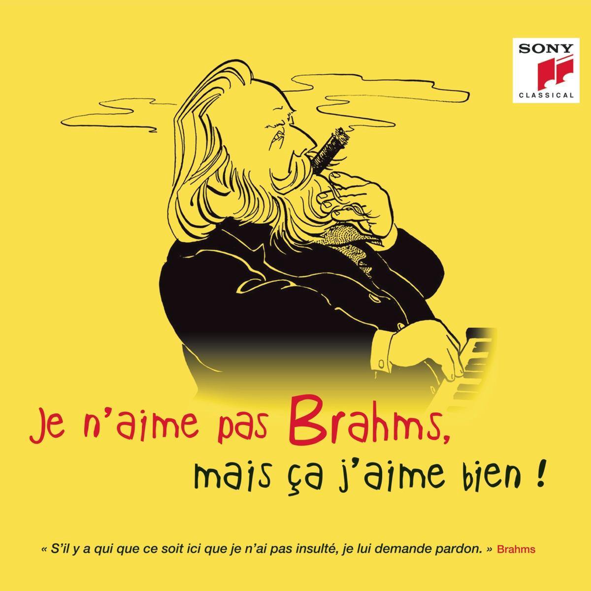 Je n’aime pas Brahms, mais ca j’aime bien! | Various Artists, Johannes Brahms