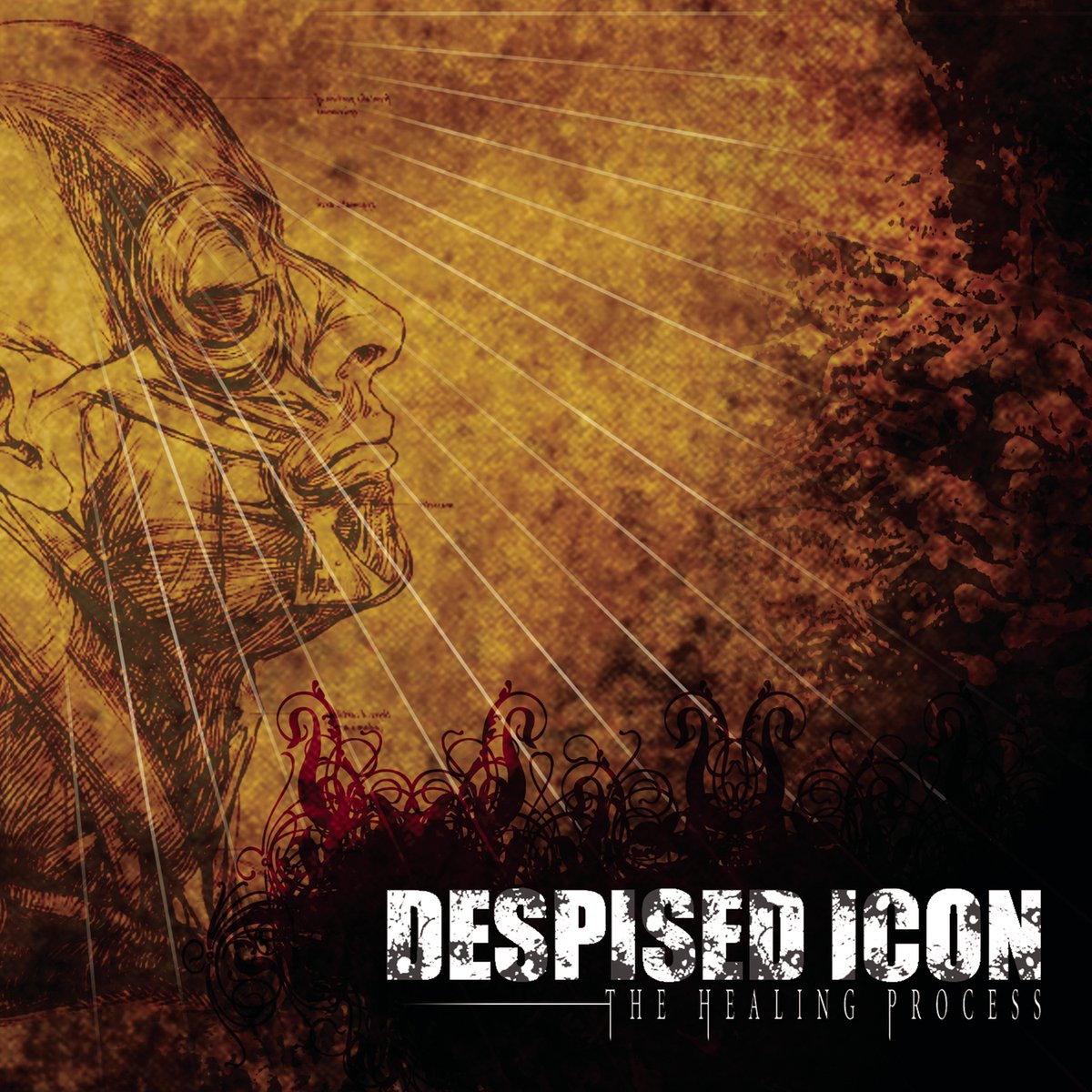 The Healing Process | Despised Icon