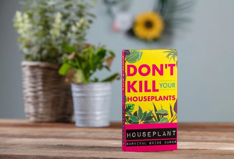 Ghid pentru plante - Don\'t Kill Your Houseplants | Boxer