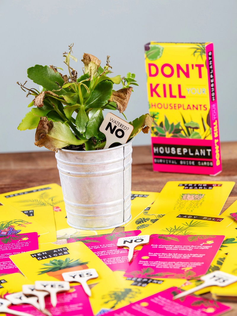 Ghid pentru plante - Don\'t Kill Your Houseplants | Boxer - 1 | YEO