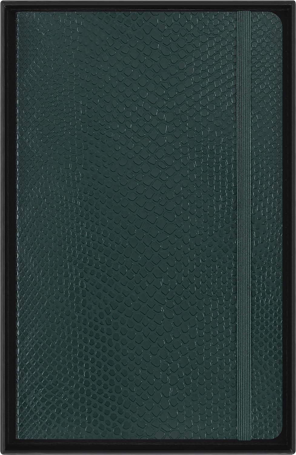 Carnet - Precious & Ethical with Gift Box - Python-Effect - Large, Vegan Soft Cover, Ruled - Green | Moleskine - 6 | YEO