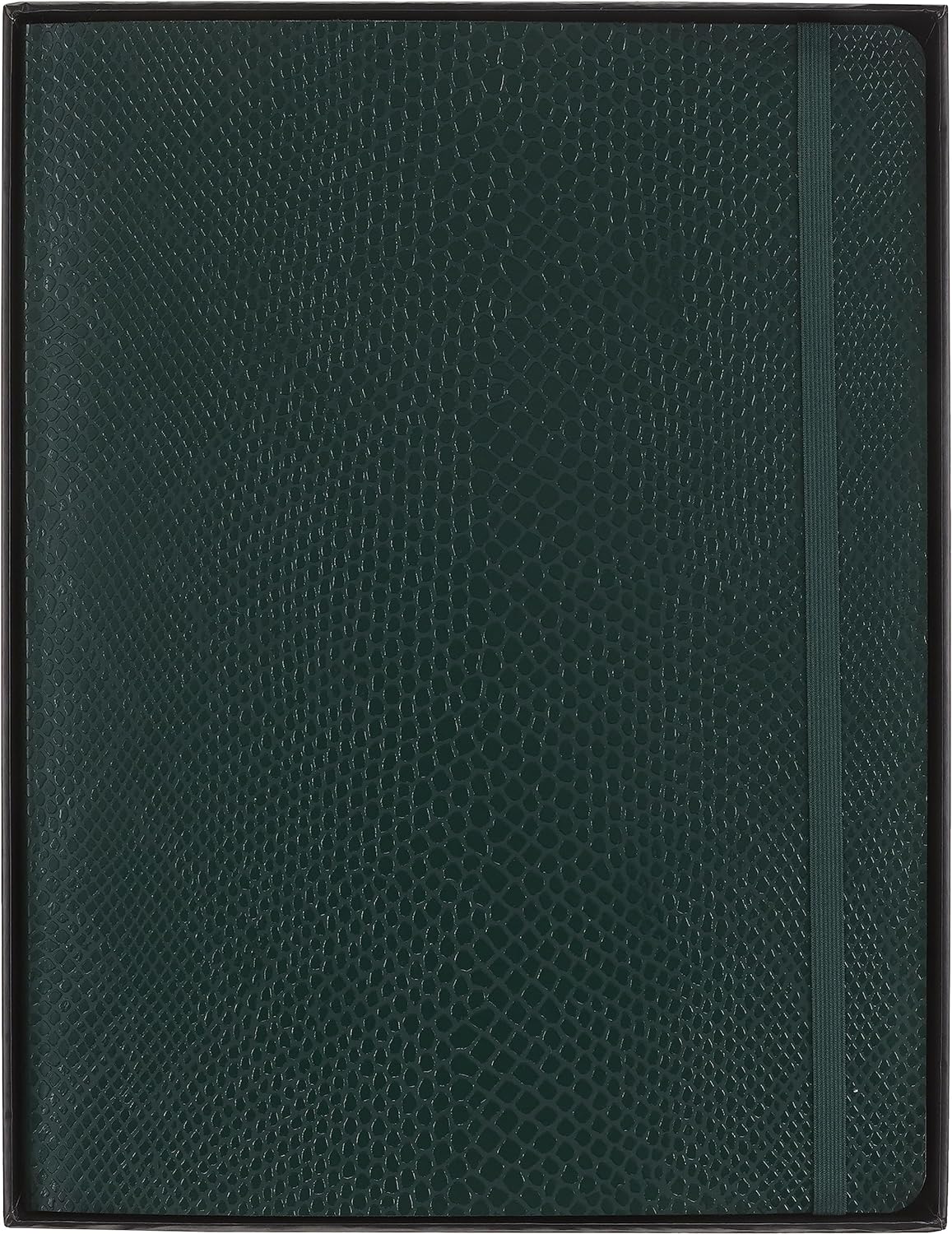 Carnet - Precious & Ethical with Gift Box - Python-Effect - XL, Vegan Soft Cover, Ruled - Green | Moleskine - 6 | YEO