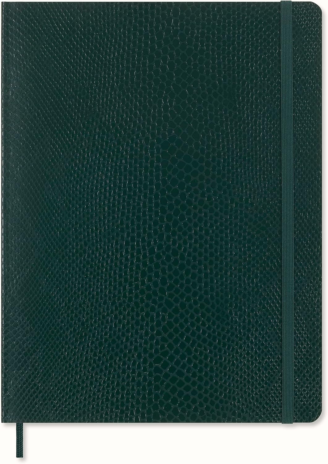 Carnet - Precious & Ethical with Gift Box - Python-Effect - XL, Vegan Soft Cover, Ruled - Green | Moleskine