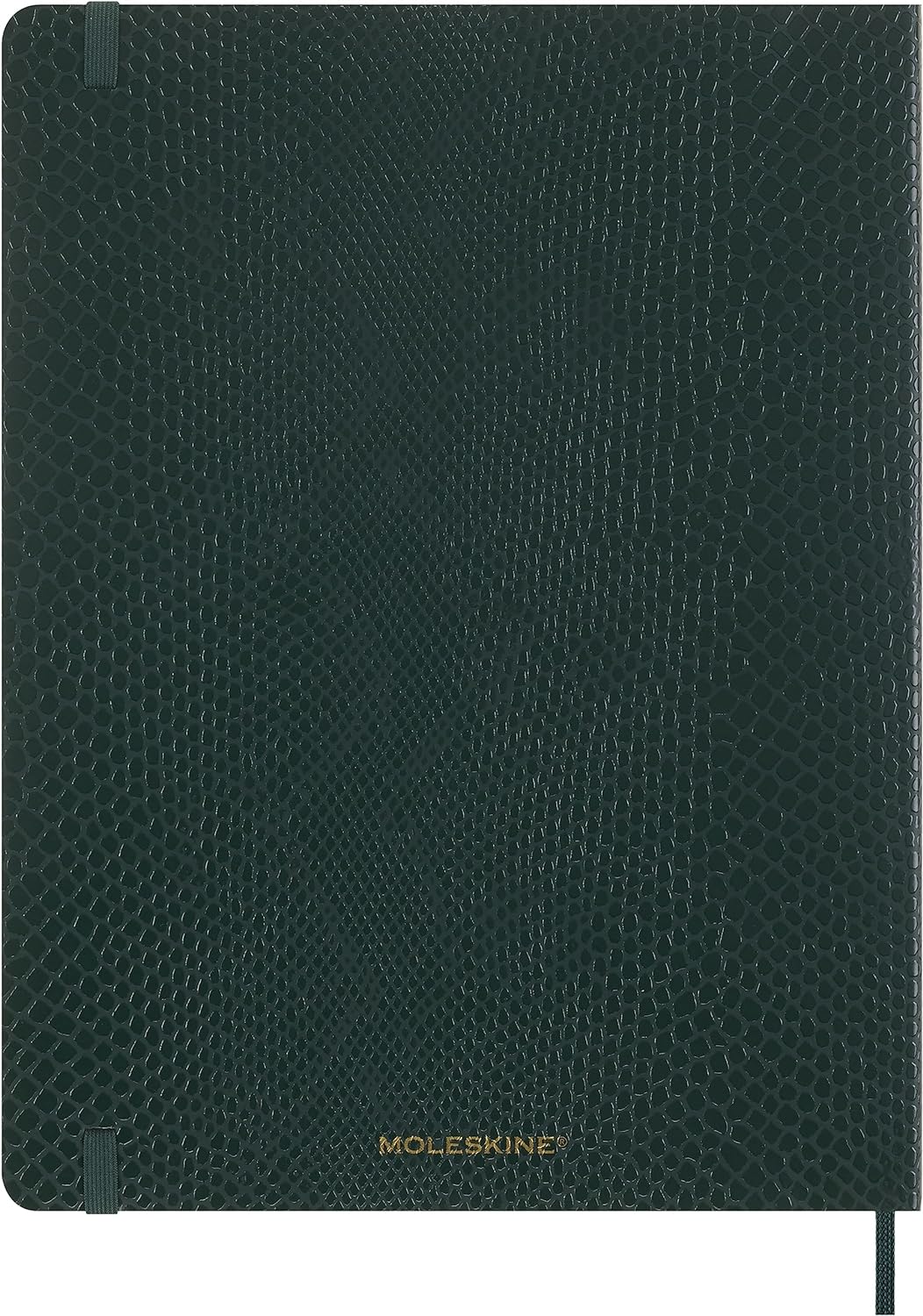 Carnet - Precious & Ethical with Gift Box - Python-Effect - XL, Vegan Soft Cover, Ruled - Green | Moleskine - 5 | YEO