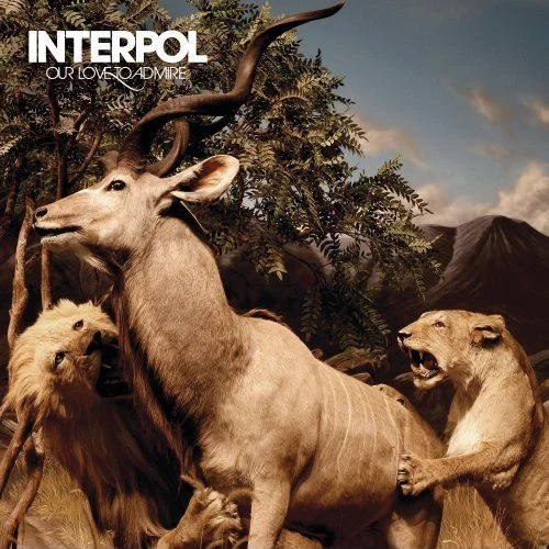 Our Love To Admire | Interpol