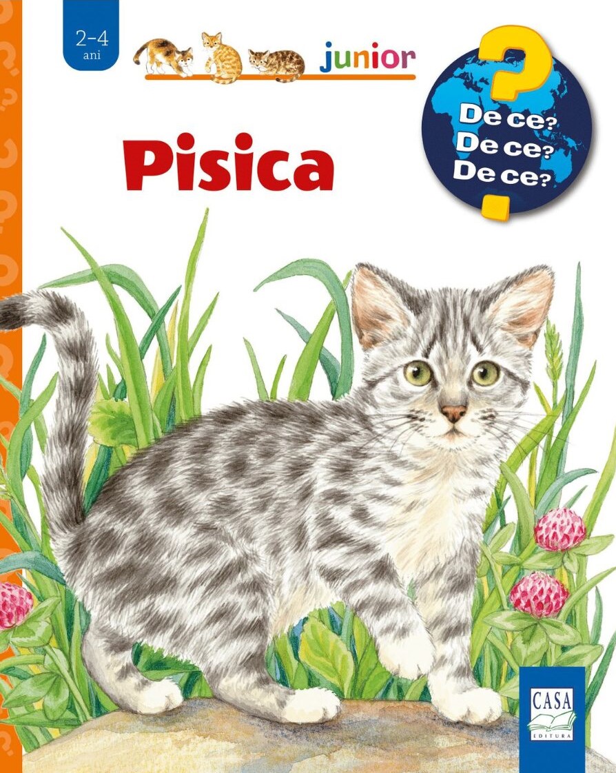 Pisica