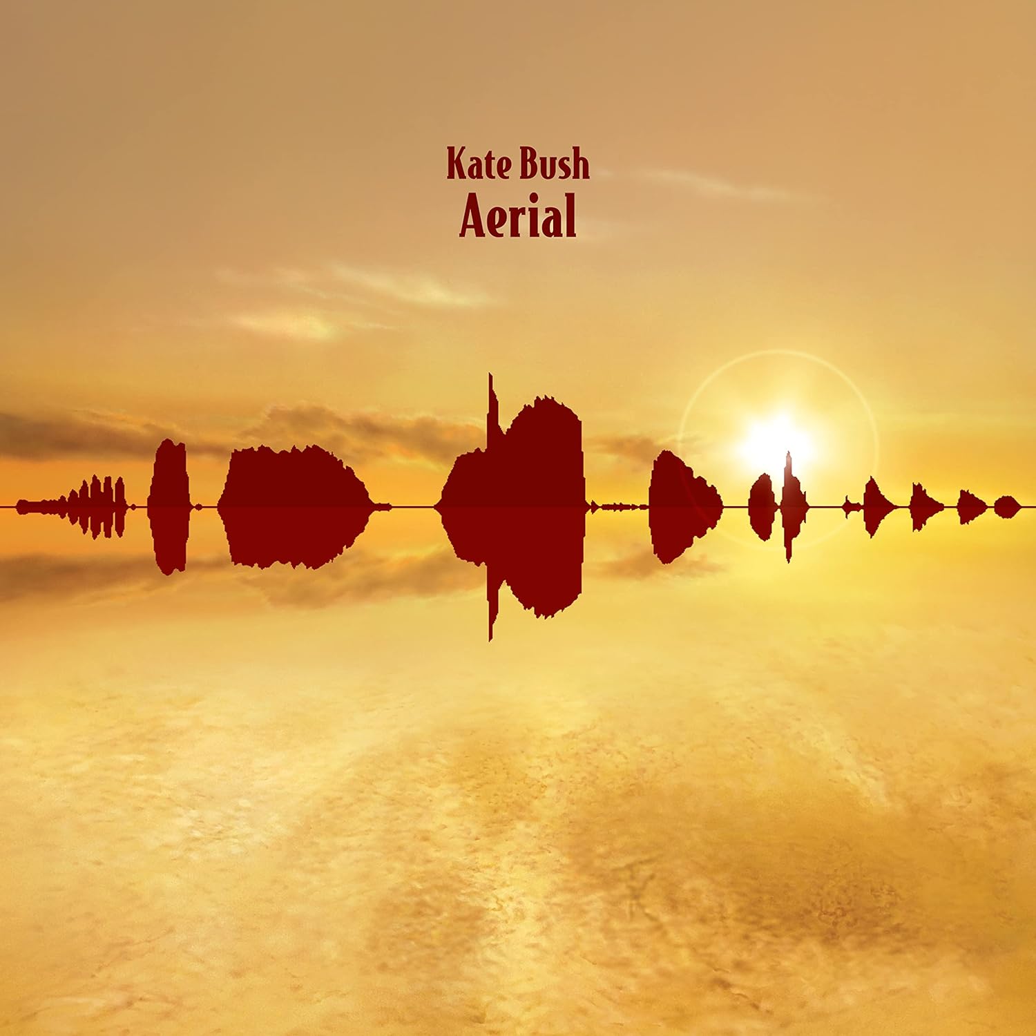 Aerial - Vinyl