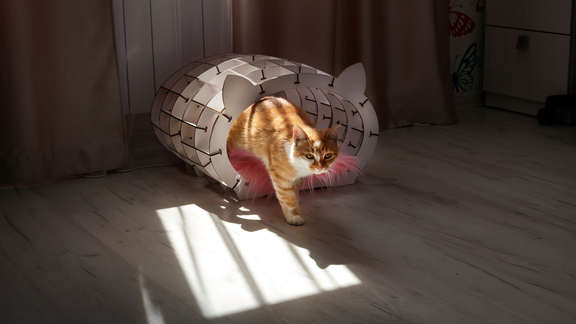 Puzzle 3D - Casa neagra pentru pisici - Blana alba | EWA - 6