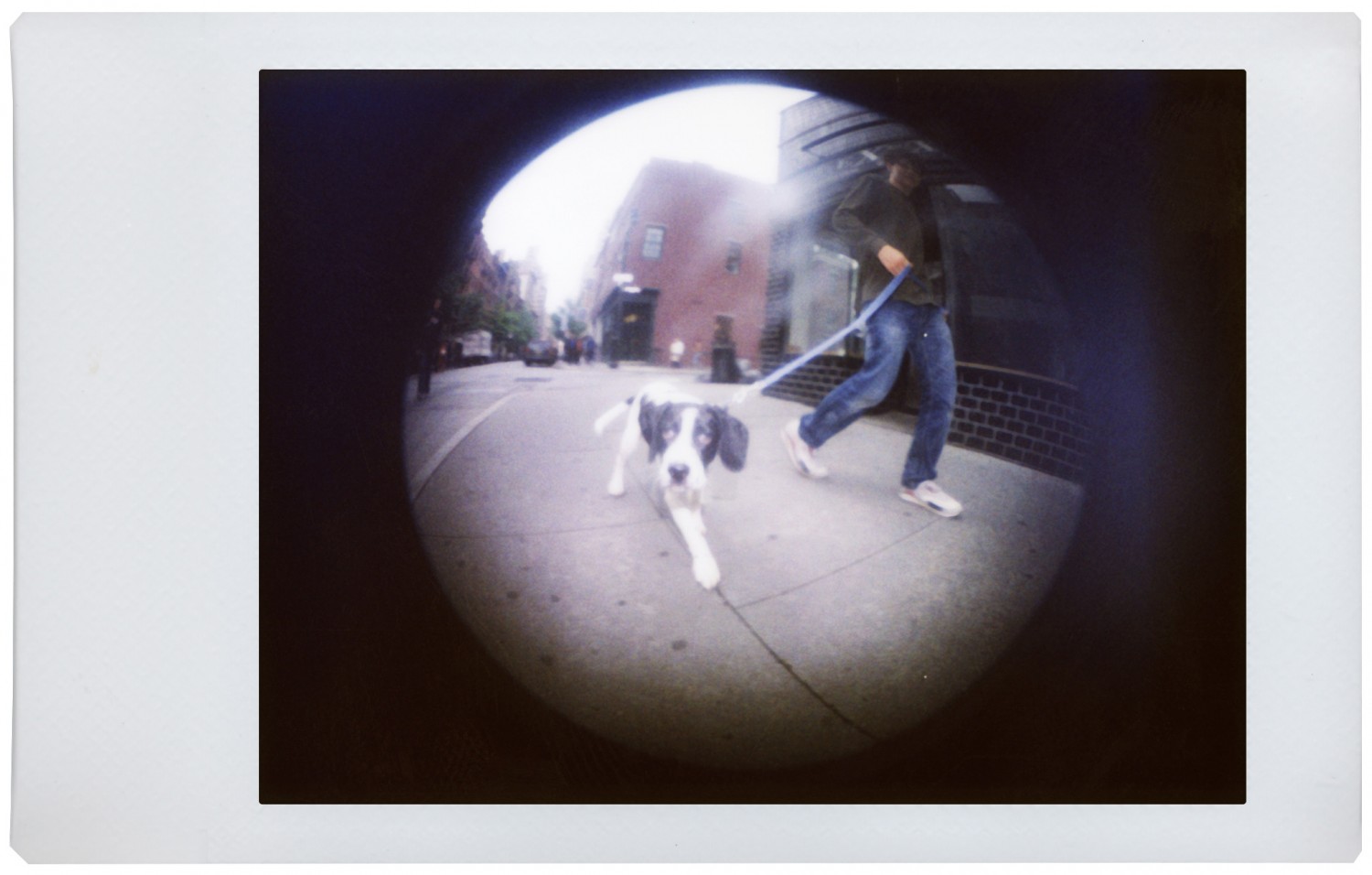 Aparat foto instant - Sanremo | Lomography - 3 | YEO