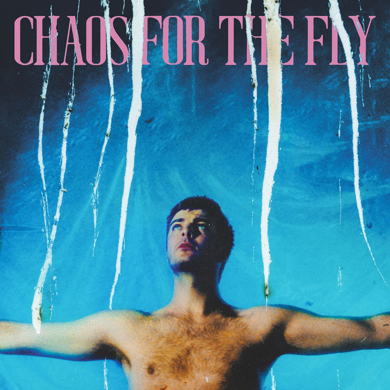 Chaos For The Fly - Vinyl