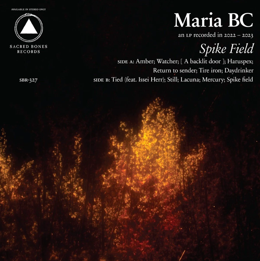 Spike Field - Vinyl | Maria BC