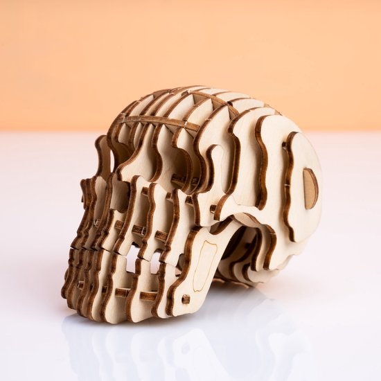 Puzzle 3D - Craniu | Kikkerland