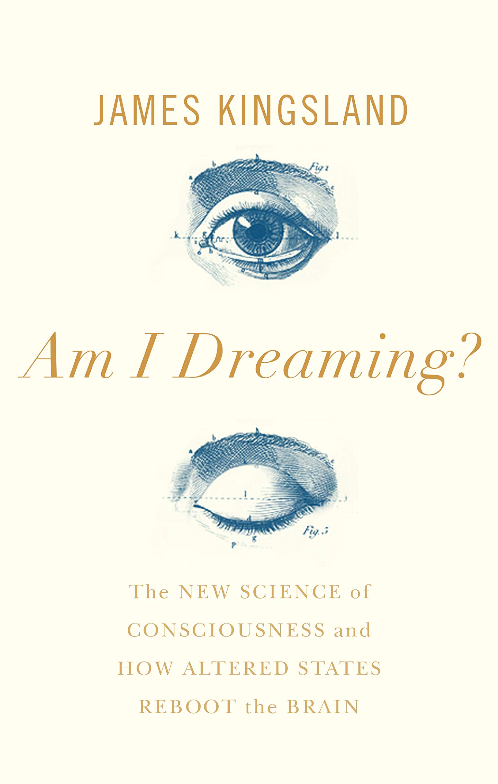 Am I Dreaming? | James Kingsland