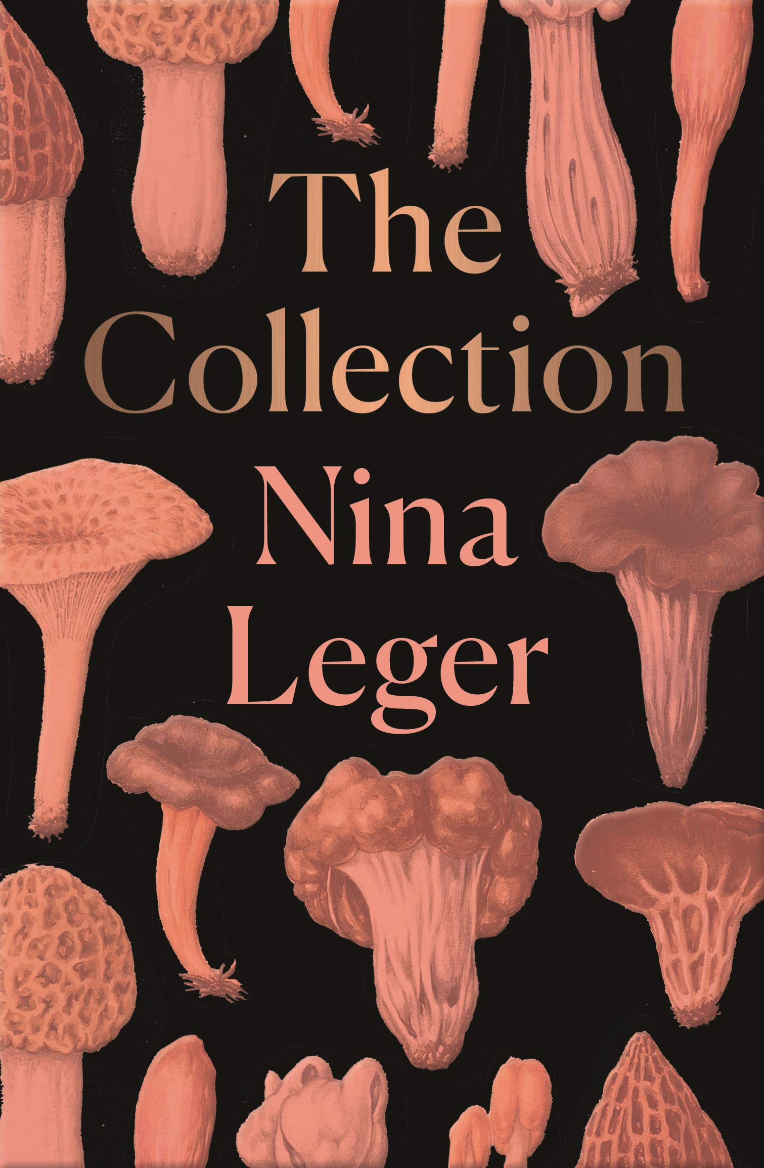 The Collection | Nina Leger