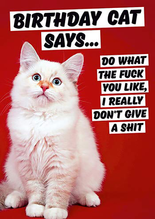 Felicitare - Birthday Cat Says Rude Birthday Card | Dean Morris Cards