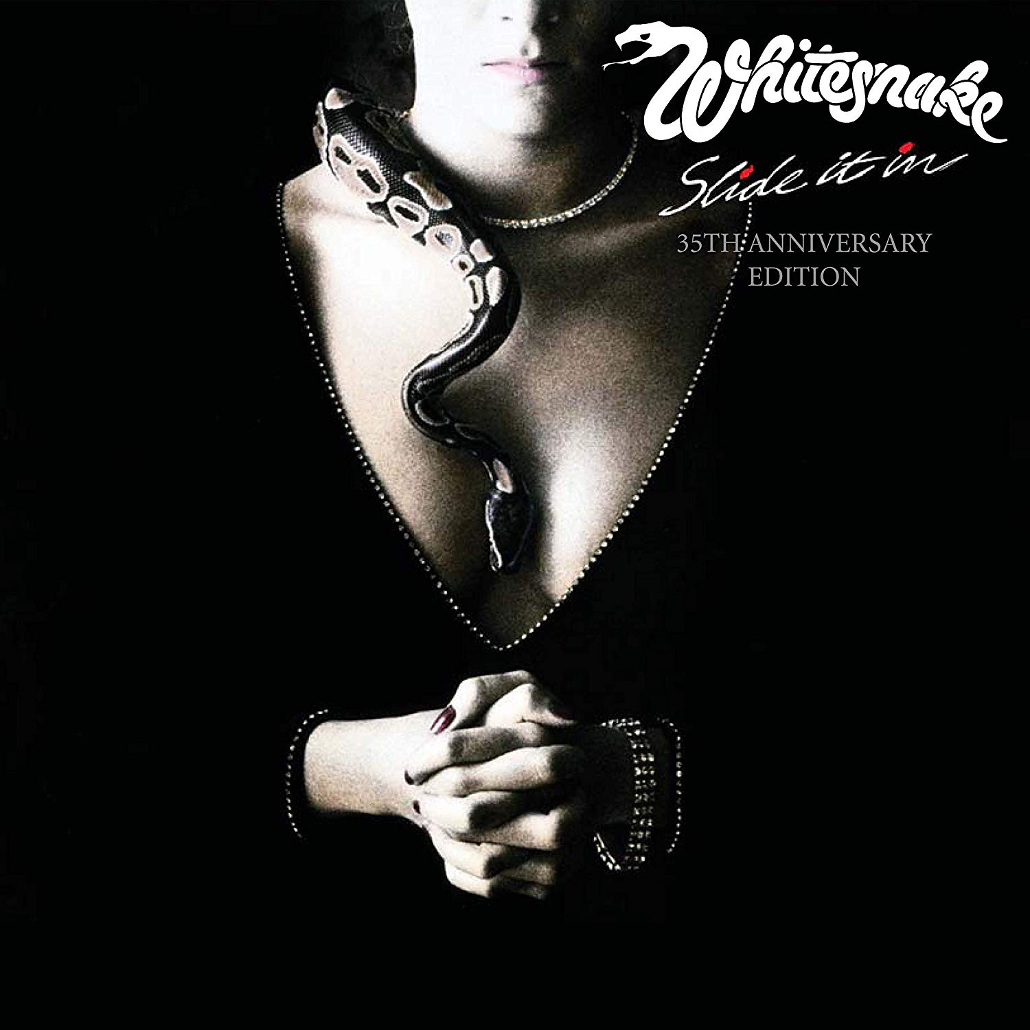 Slide It In | Whitesnake  image14