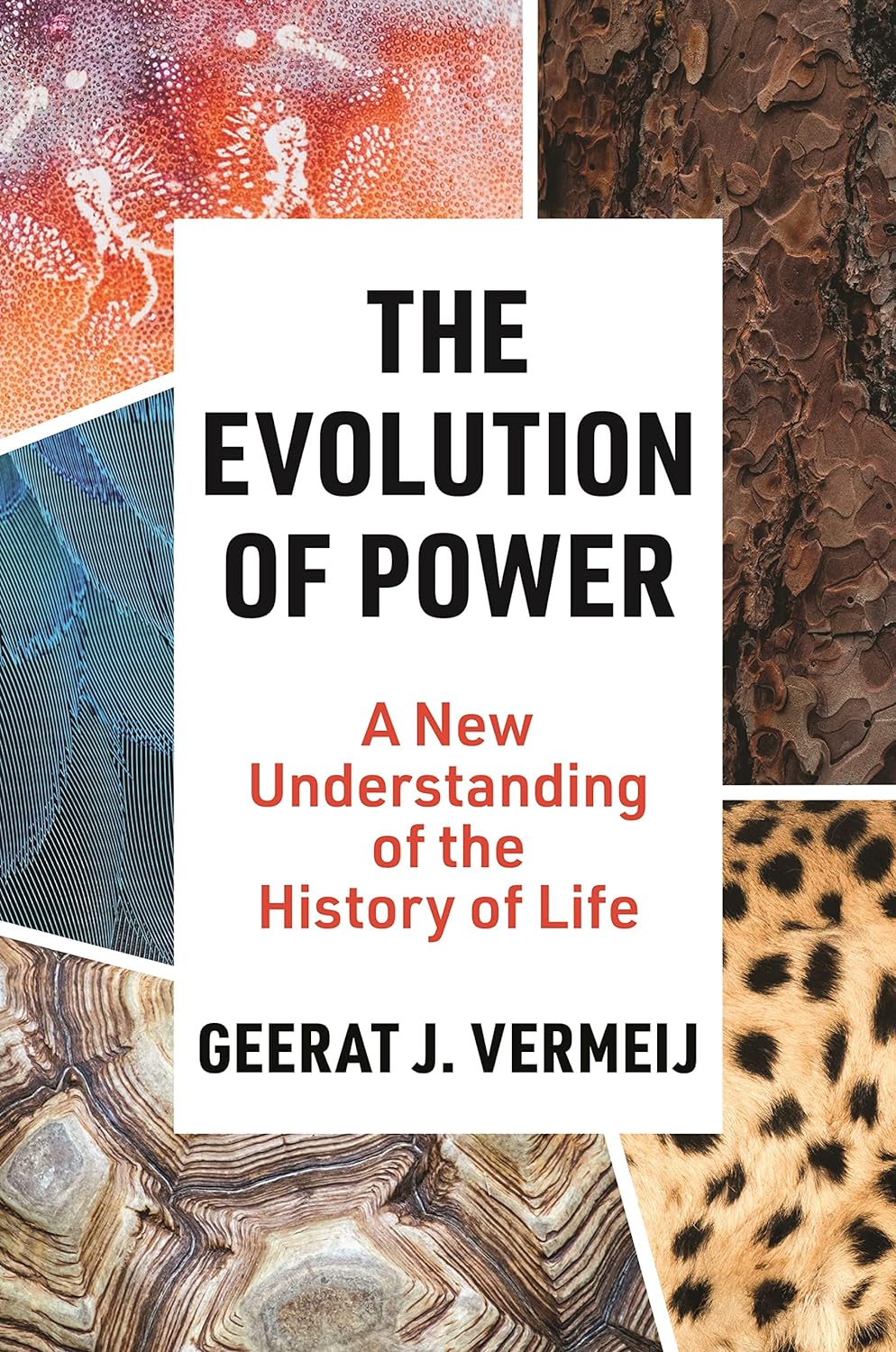 The Evolution of Power | Geerat J. Vermeij