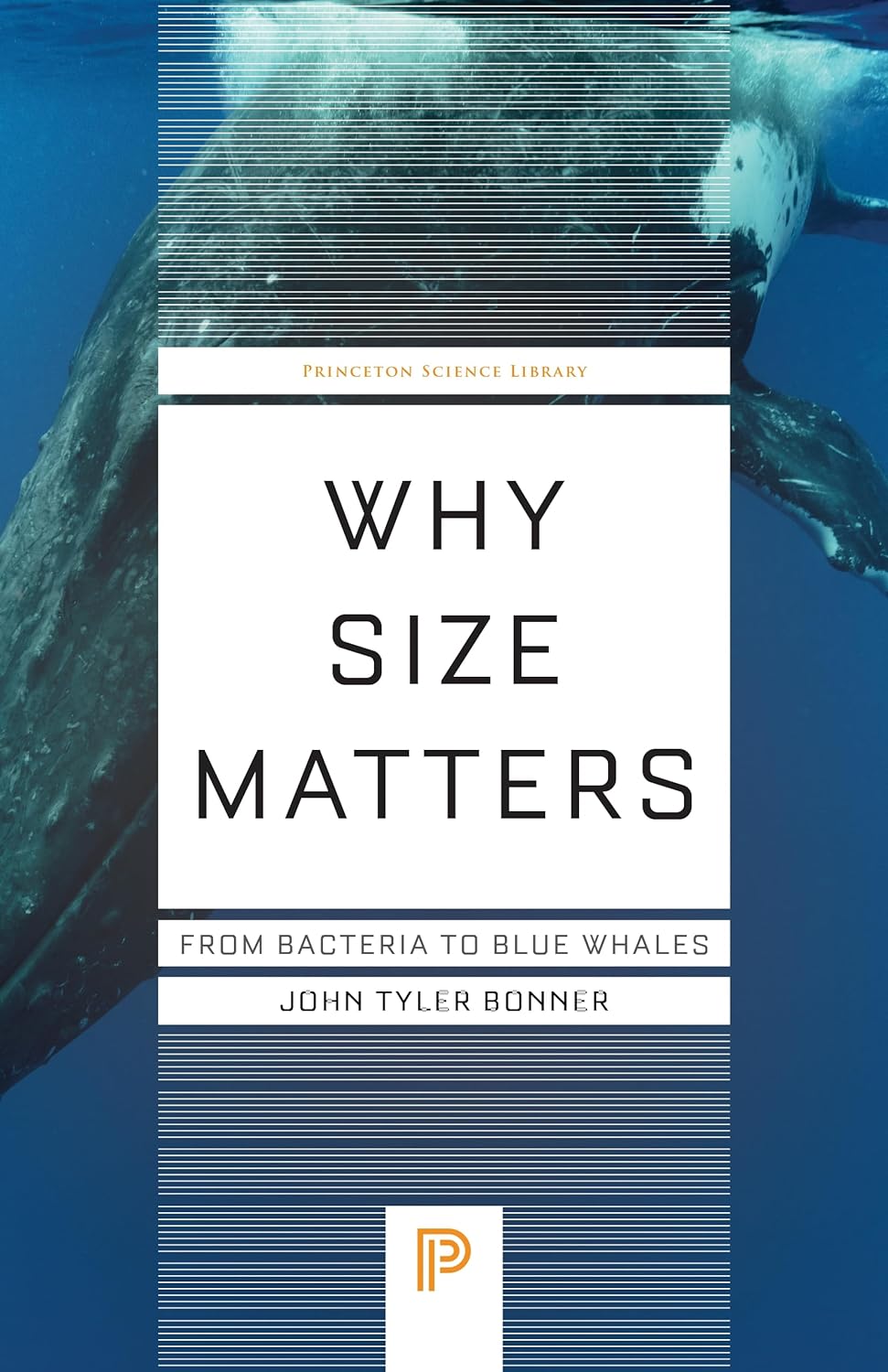 Why Size Matters | John Tyler Bonner