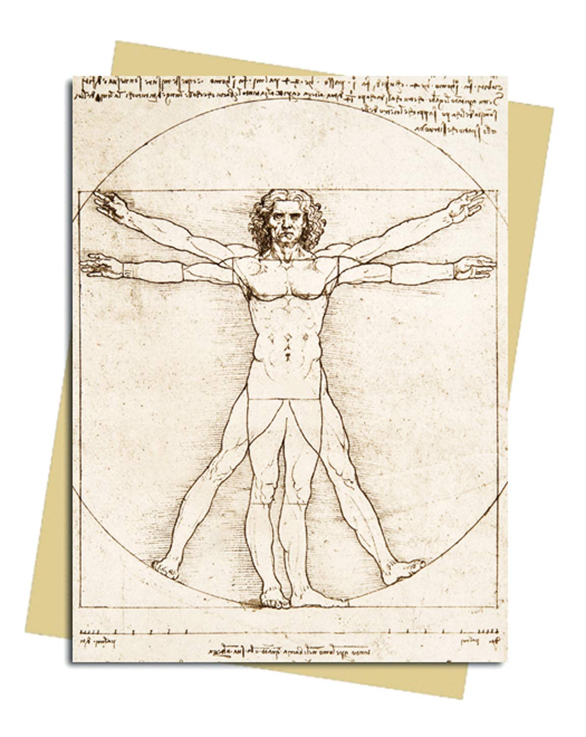 Felicitare - Leonardo Da Vinci - Vitruvian Man | Flame Tree Publishing