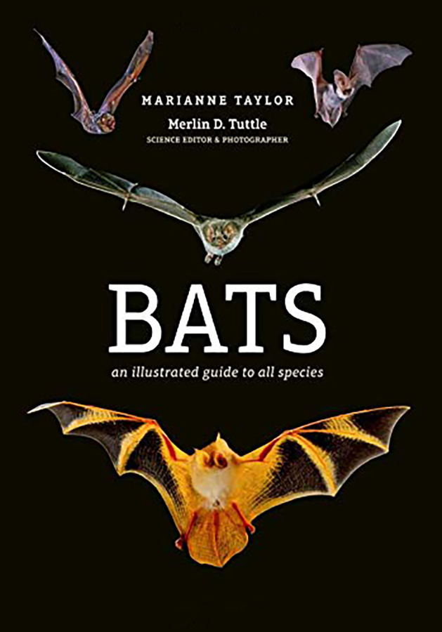 Bats | Marianne Taylor