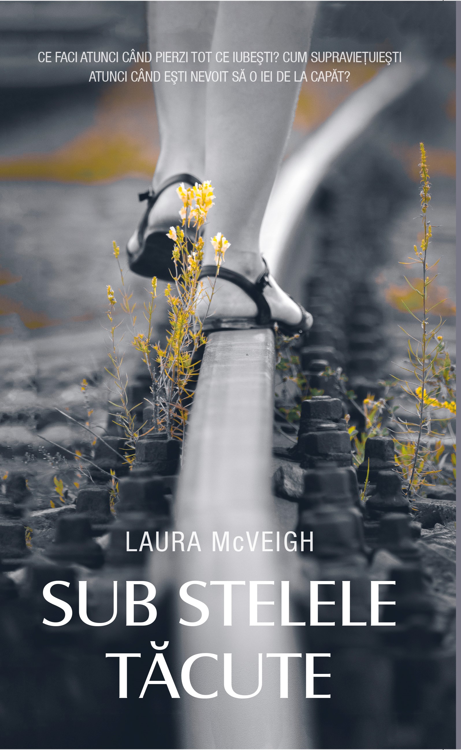 Sub stelele tacute | Laura McVeigh carte