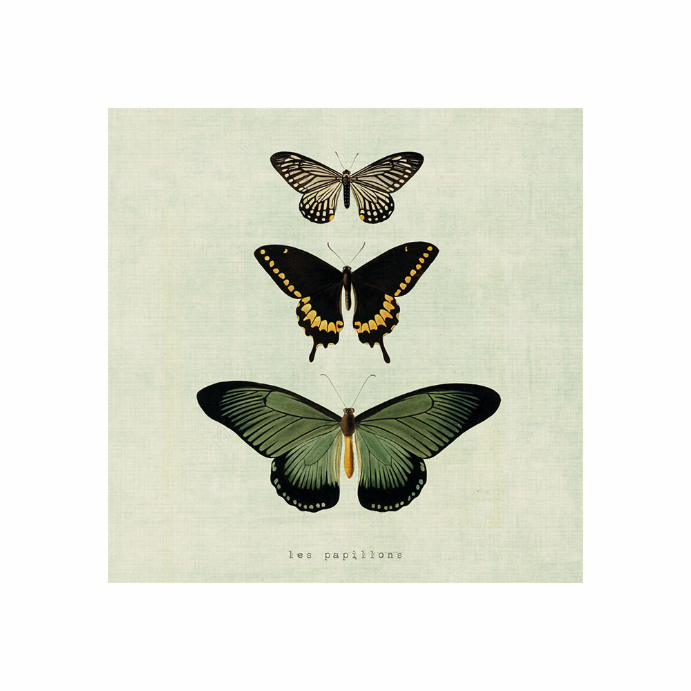 Tablou Panza - Butterflies | Chic Mic