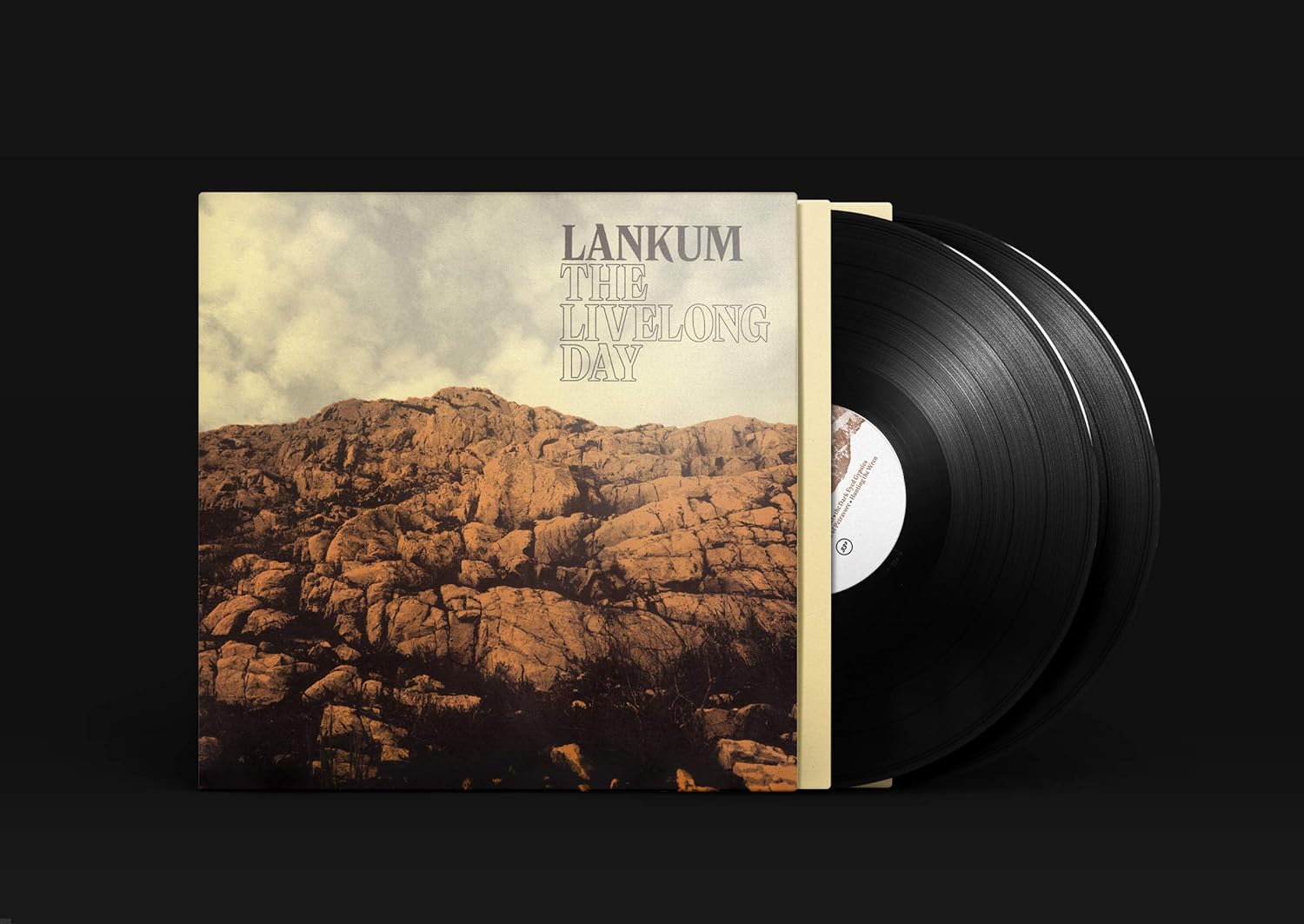 The Livelong Day - Vinyl | Lankum