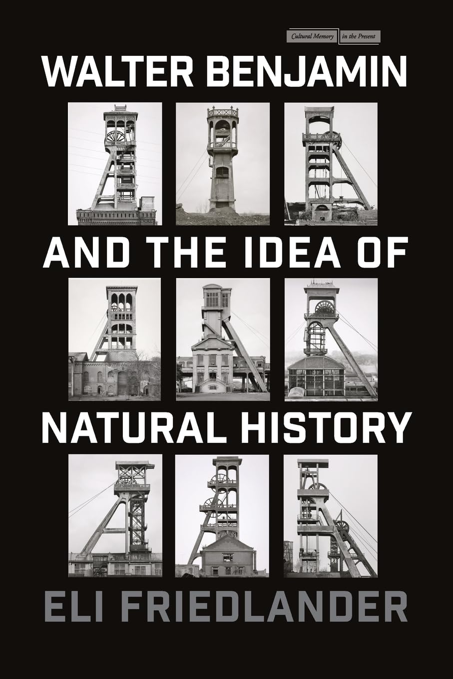 Walter Benjamin and the Idea of Natural History | Eli Friedlander