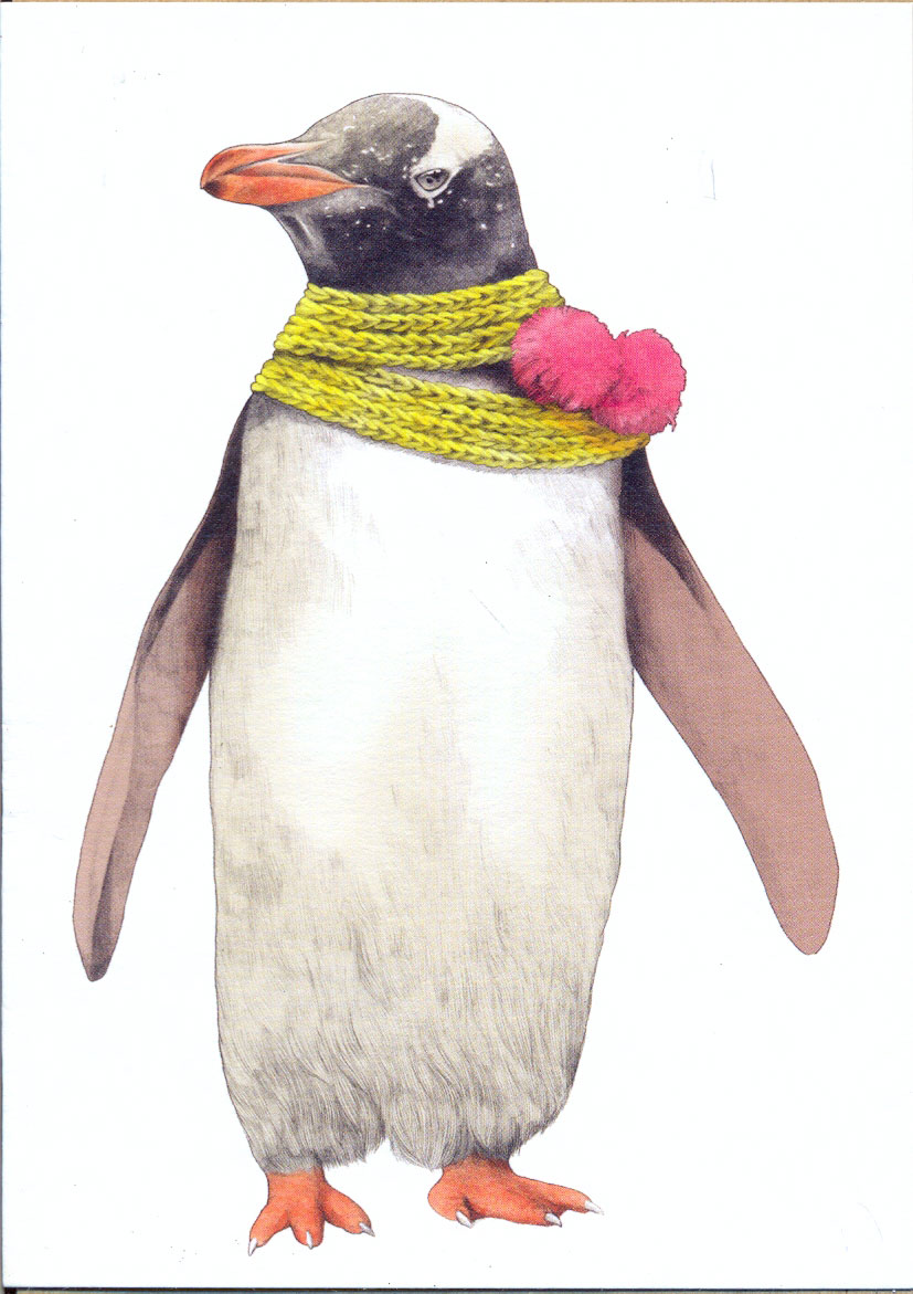 Felicitare - Jim The Penguin | OHH Deer