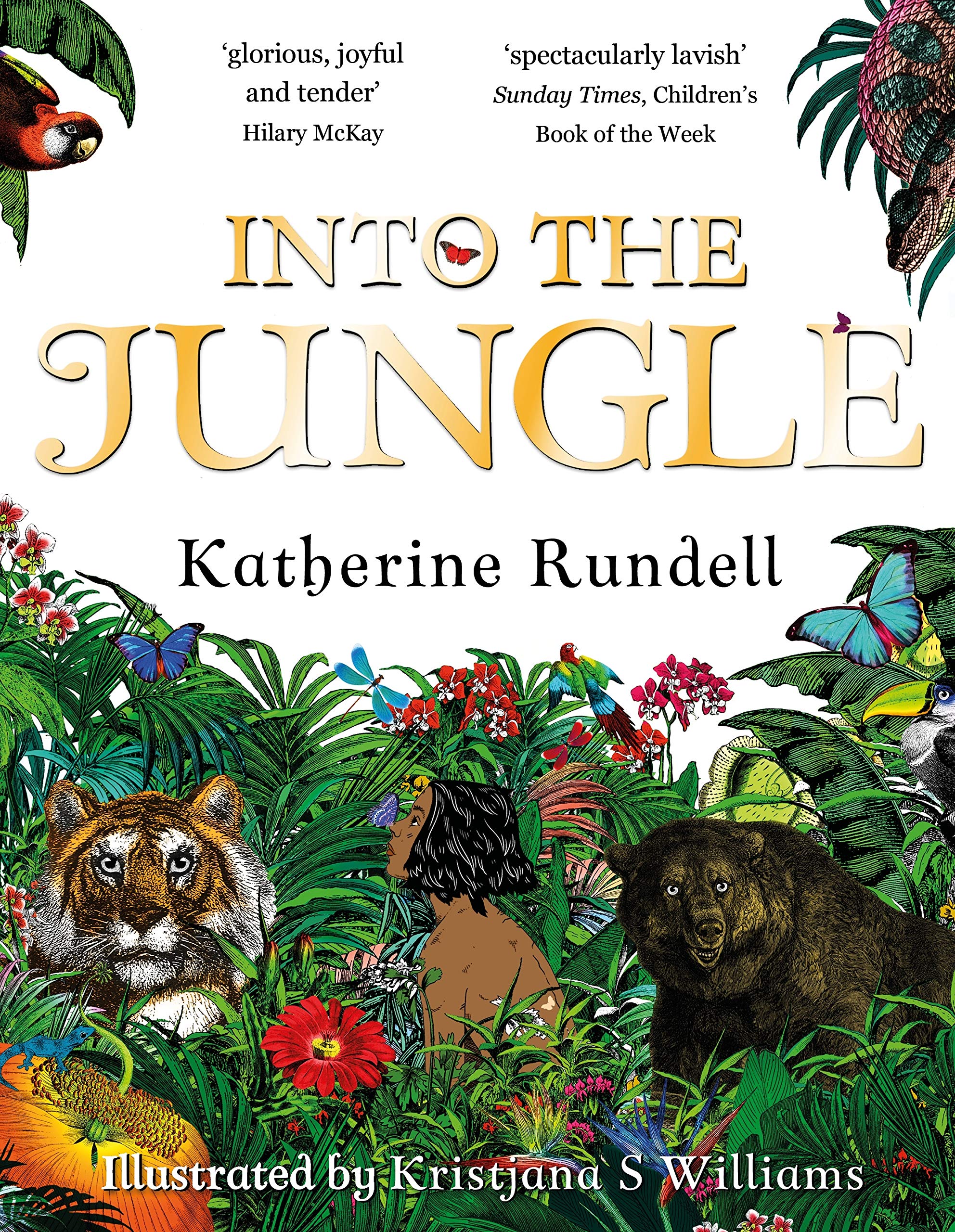 Into the Jungle | Katherine Rundell