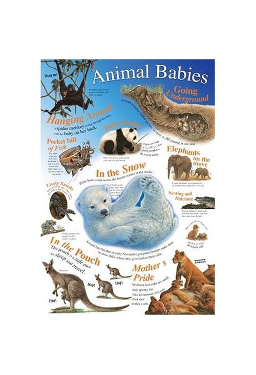 Vezi detalii pentru Animal Babies | 