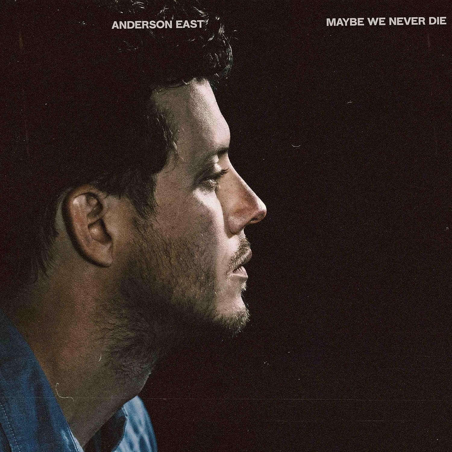 Maybe We Never Die - Vinyl | Anderson East