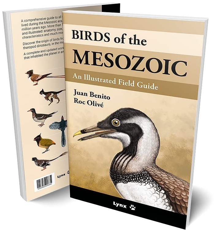 Birds of the Mesozoic: An Illustrated Field Guide