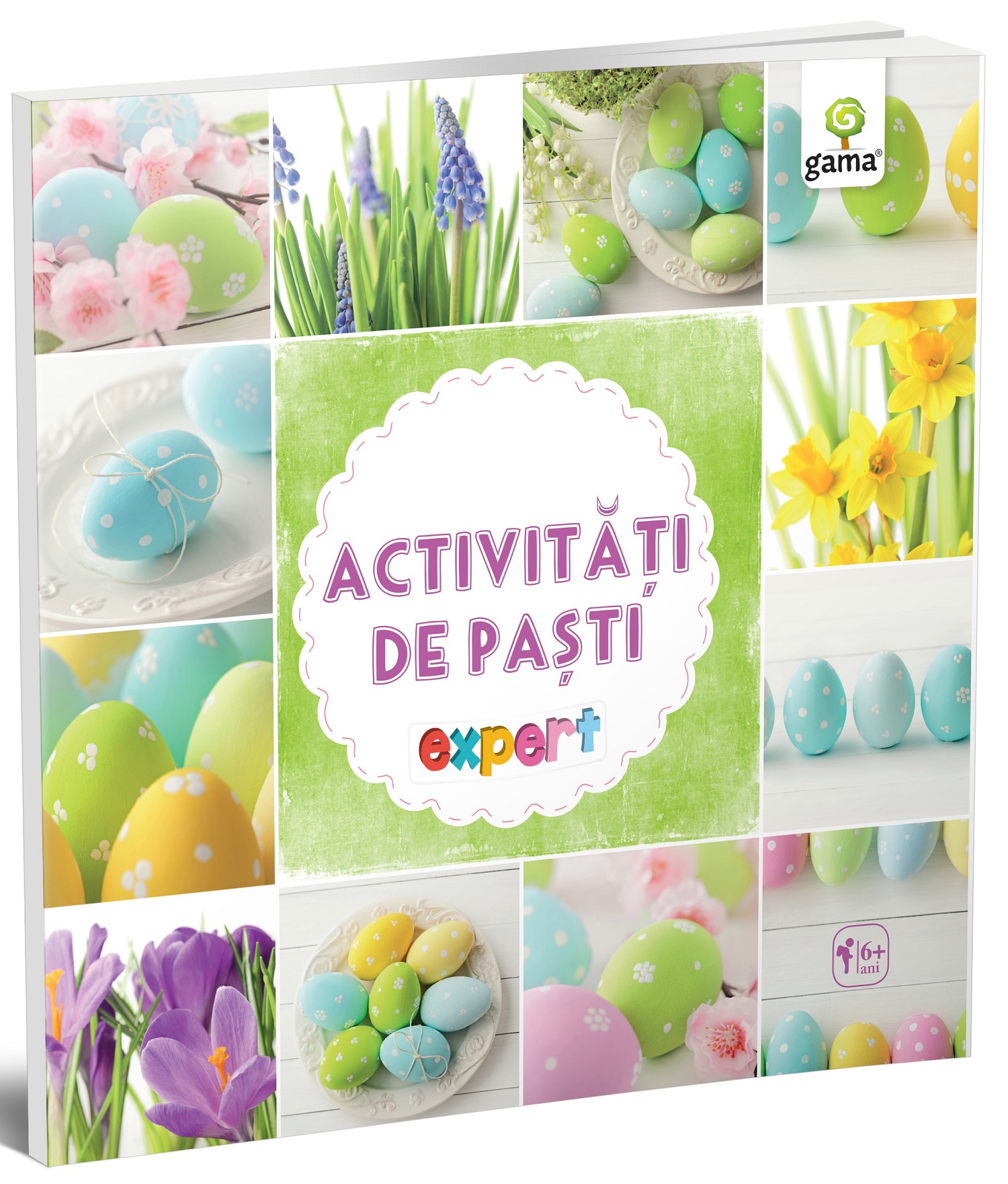 Activitati de Pasti - Expert |