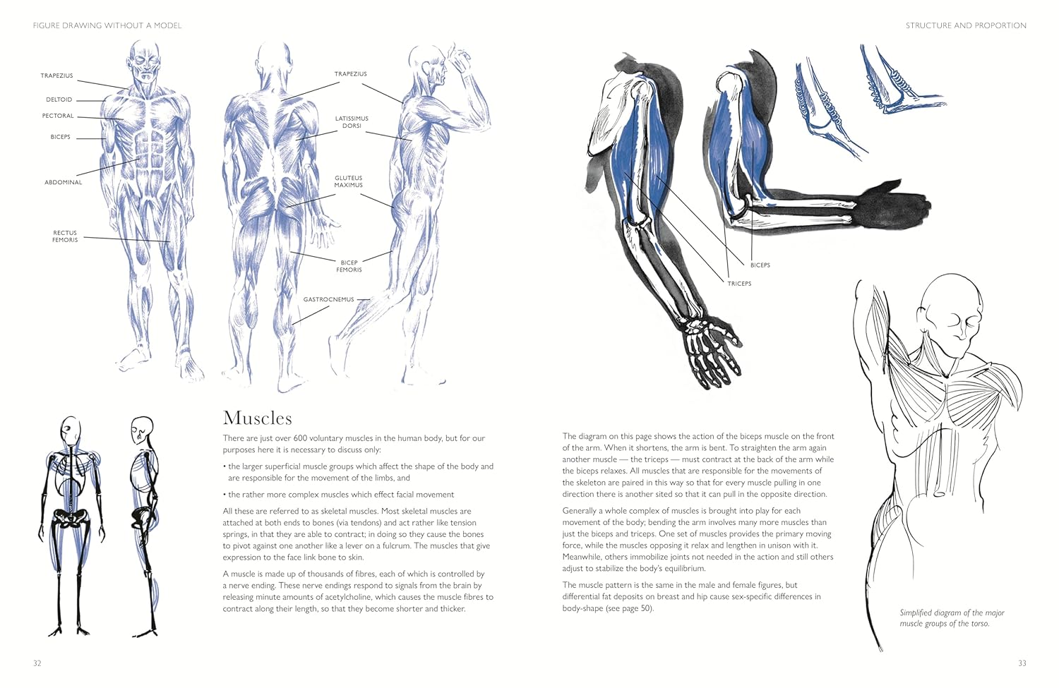 Figure Drawing without a Model | Ron Tiner - 1 | YEO