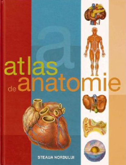 Atlas de anatomie scolar