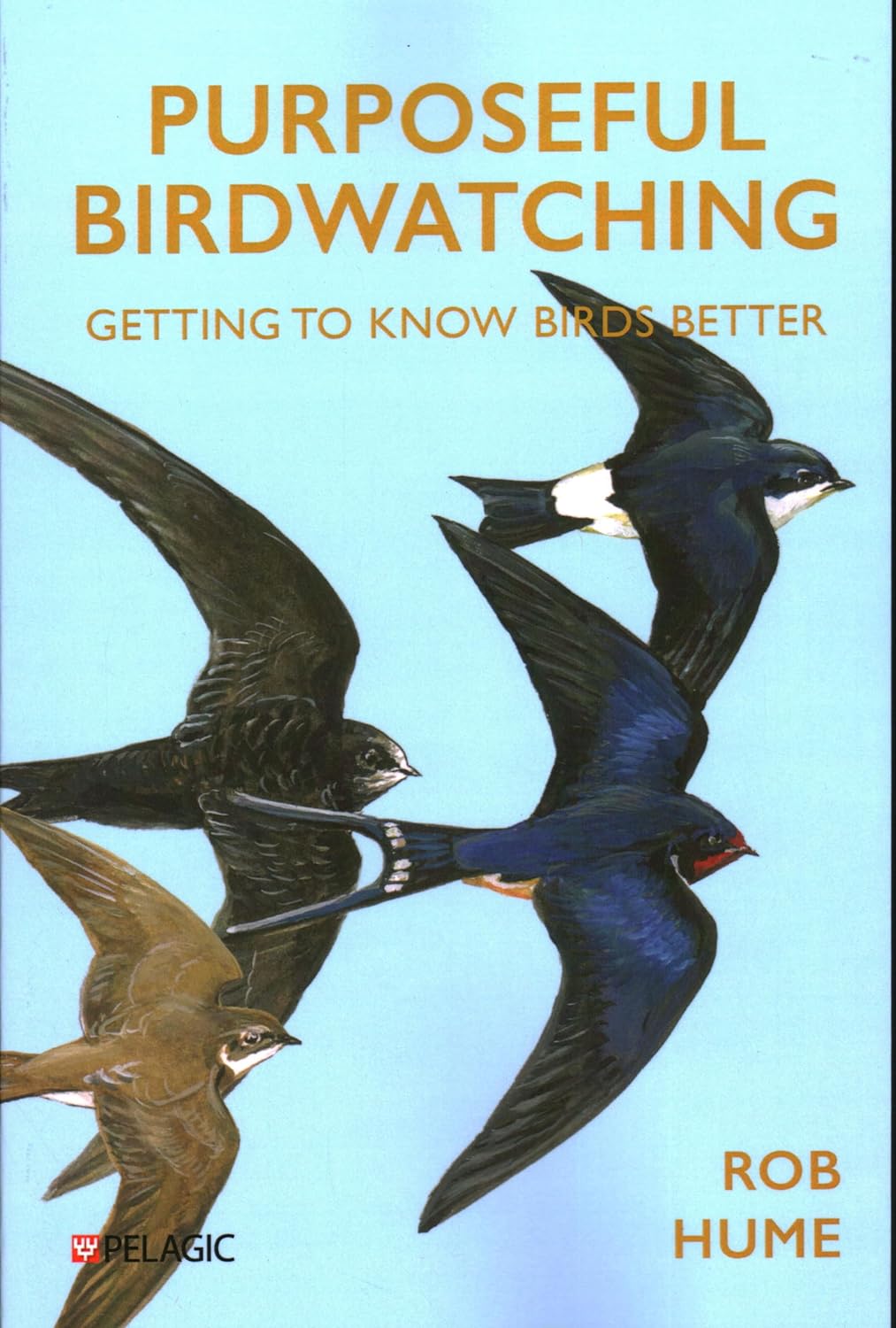 Purposeful Birdwatching