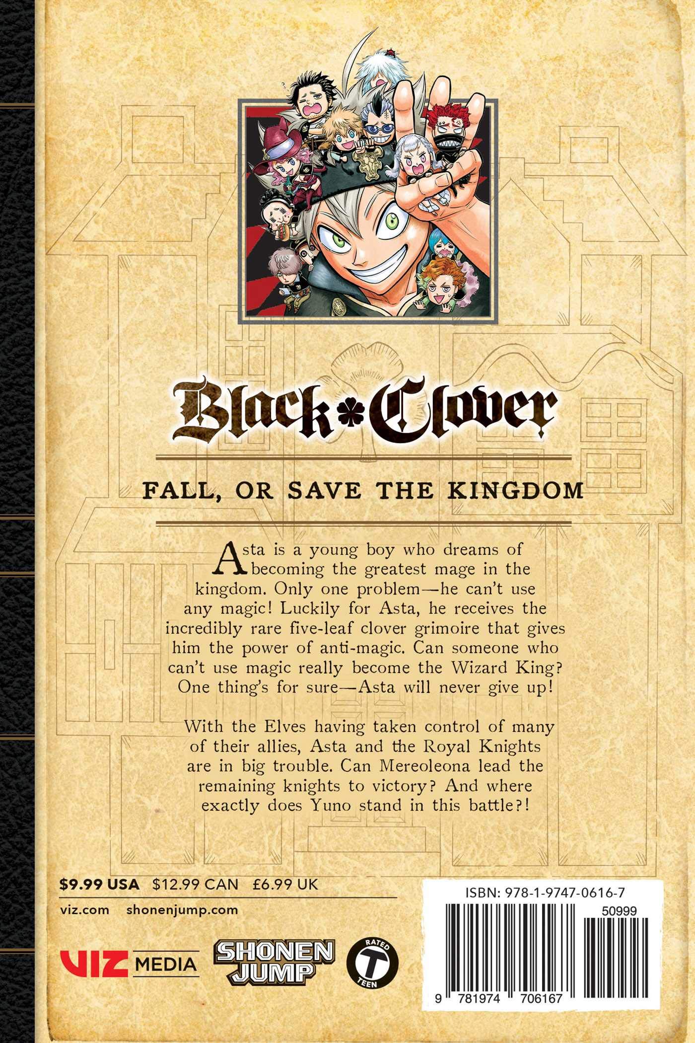 Black Clover - Volume 17 | Yuki Tabata