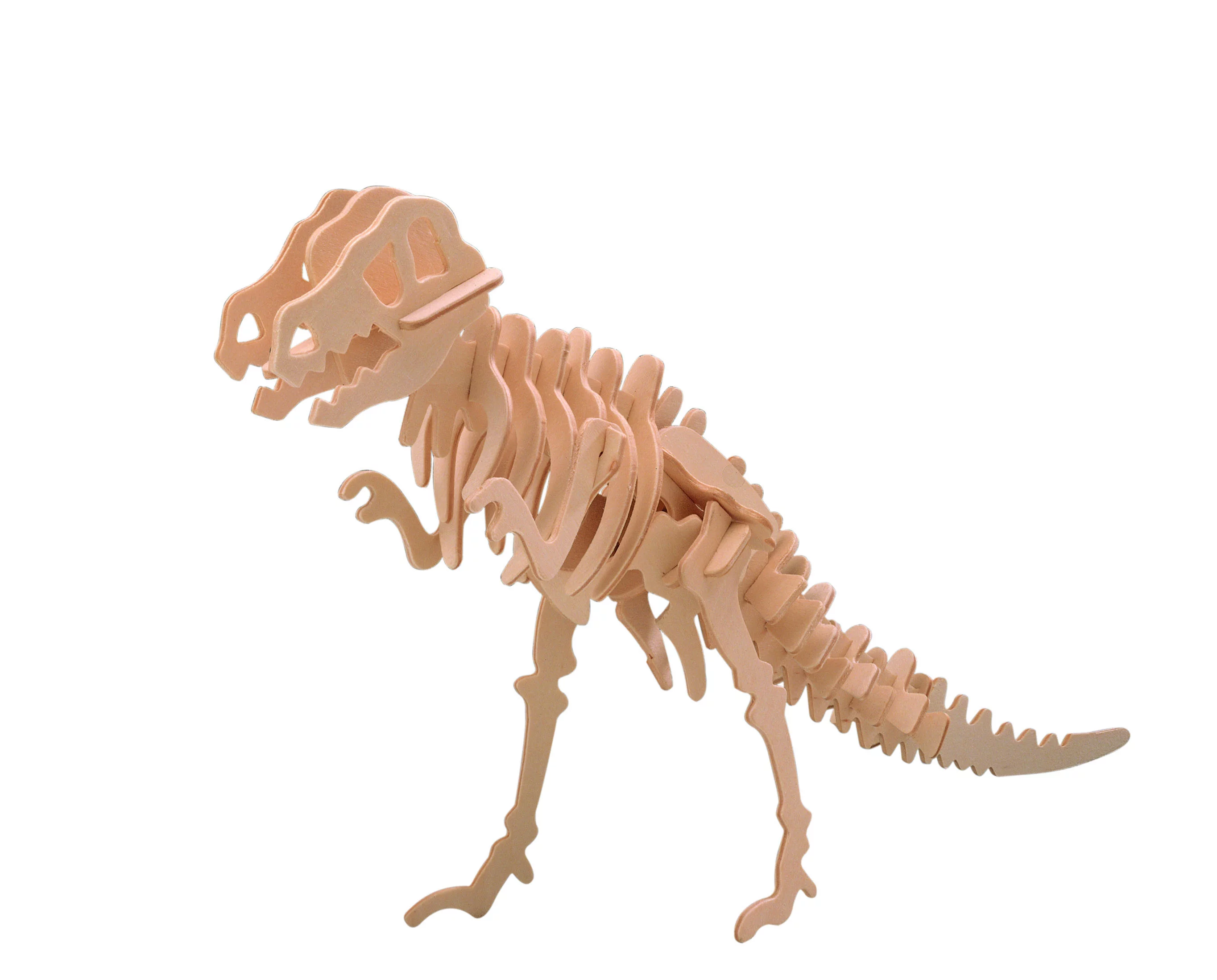 Model Set - Discover Dinosaurs | 