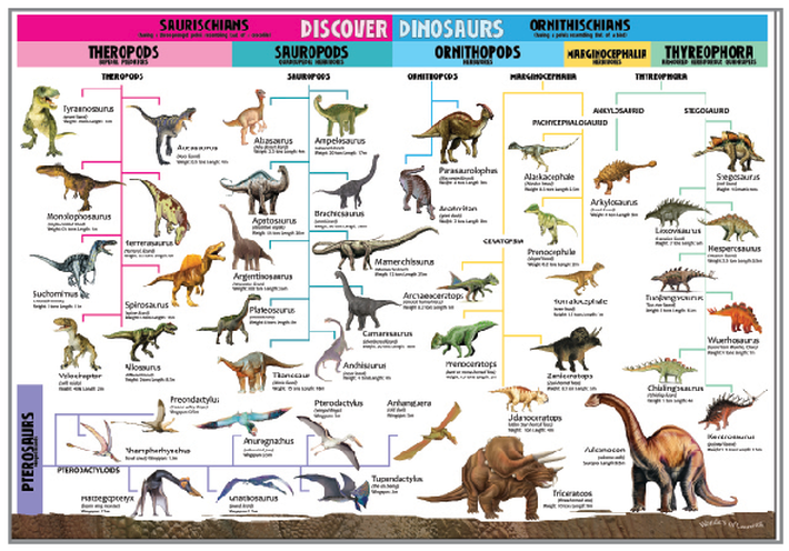 Model Set - Discover Dinosaurs | - 3 | YEO