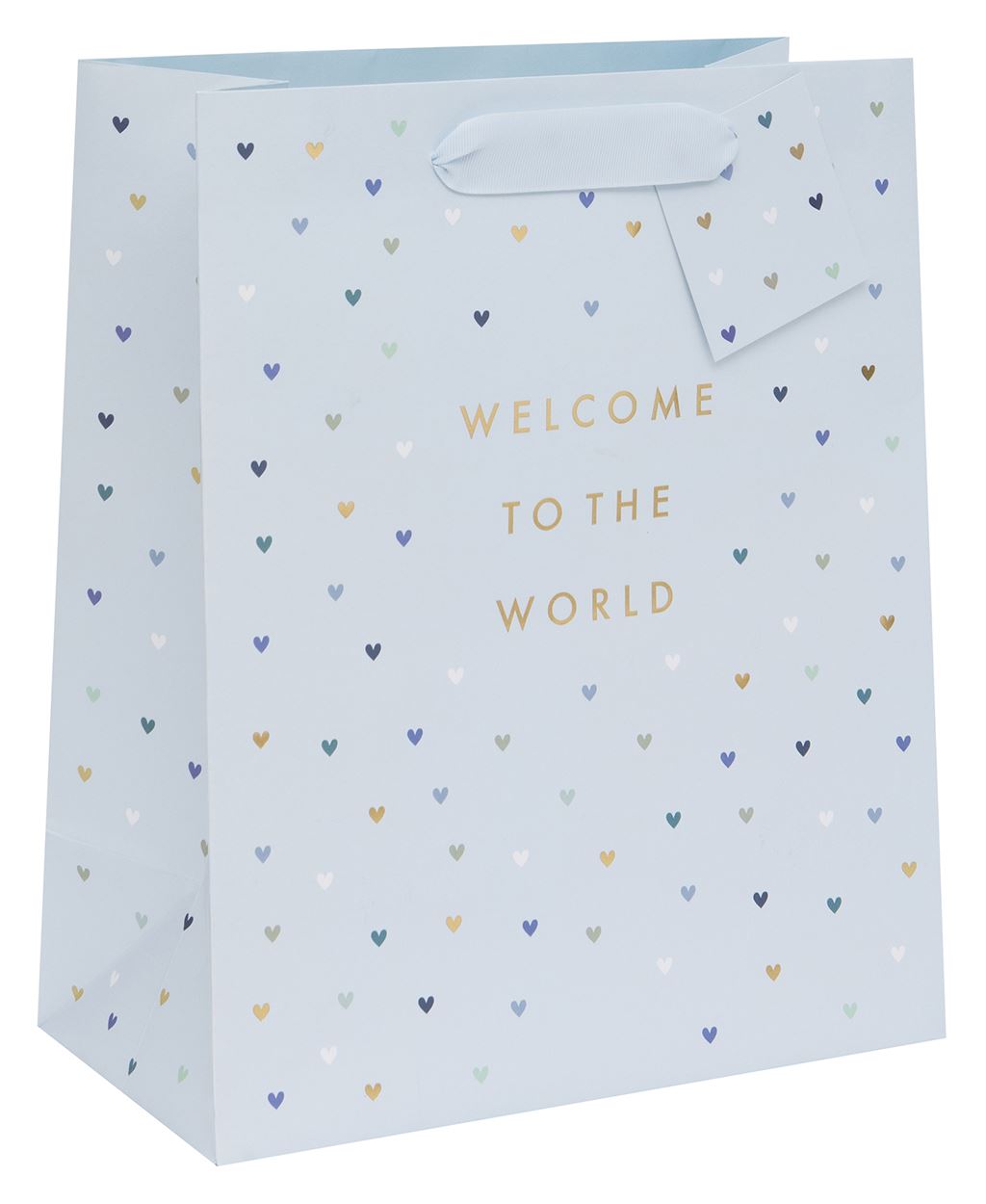 Punga cadou - Tom Welcome To The World - Blue - Large