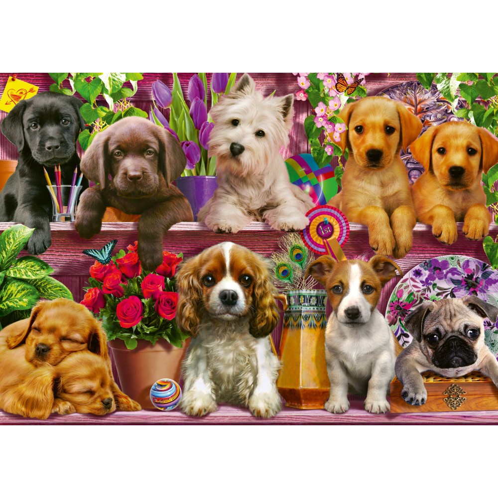 Puzzle 500 piese - Puppies on the Shelf | Schmidt - 1