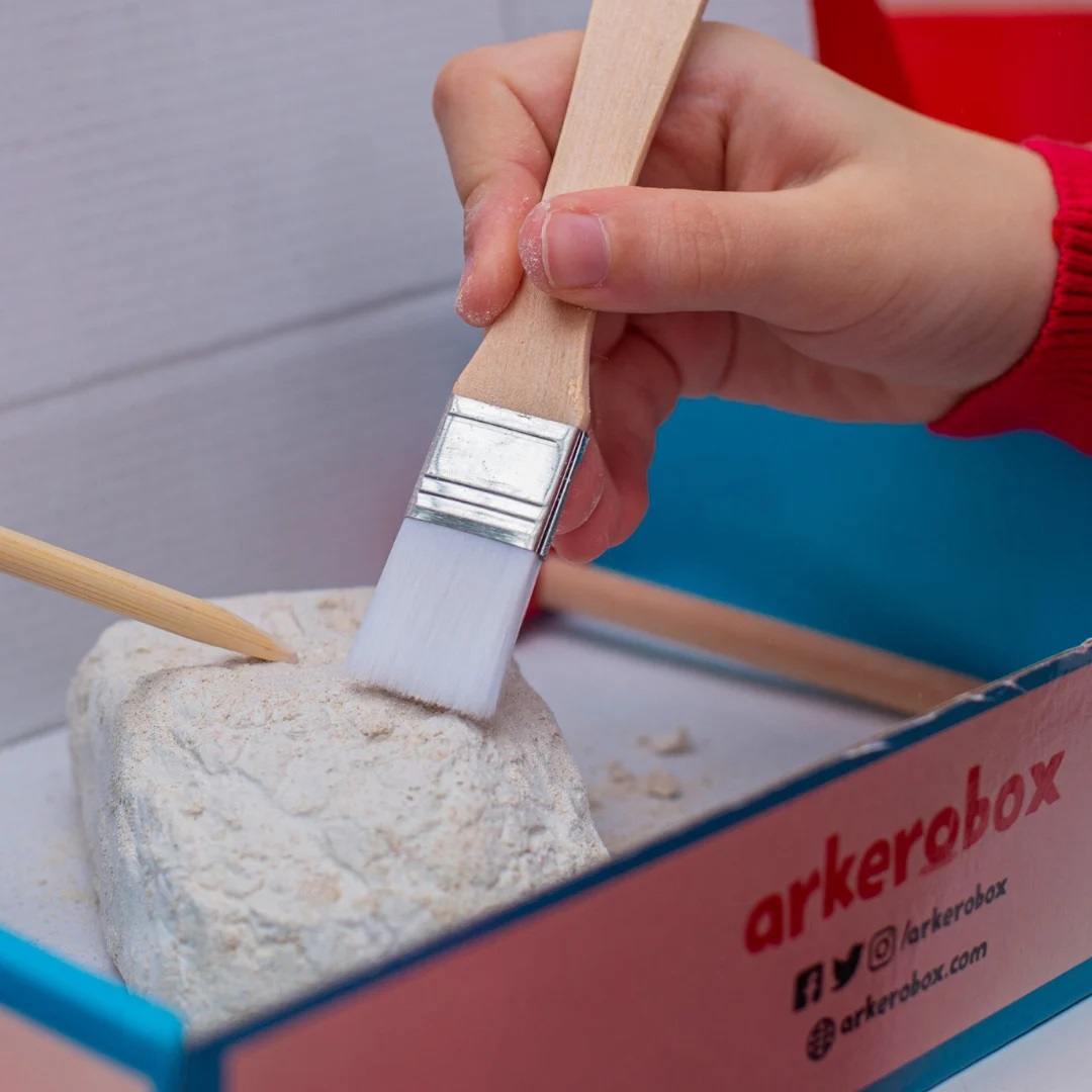 Set educativ - Istanbul | Arkerobox - 1 | YEO