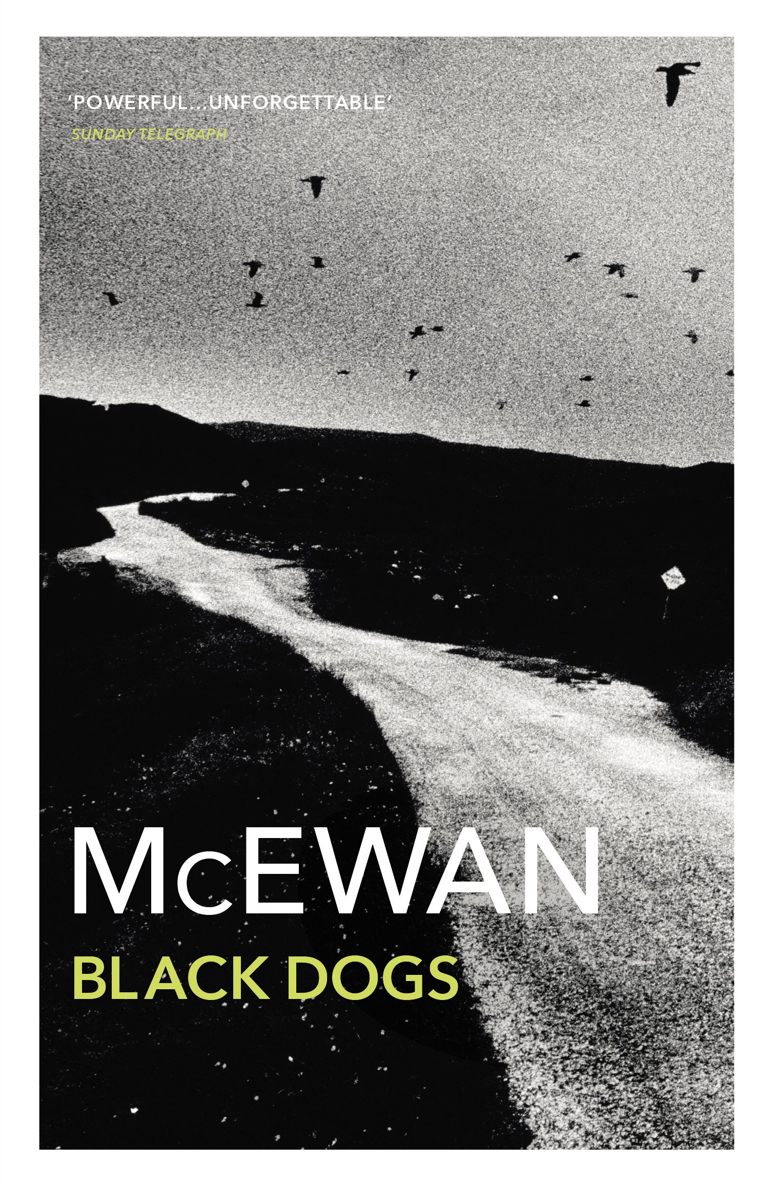 Black Dogs | Ian Mcewan
