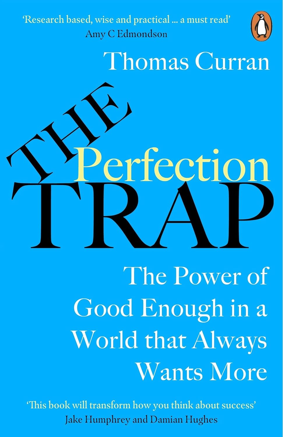 The Perfection Trap